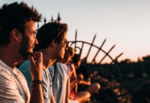 Pigmentepithel: Aufbau und Funktion Pigmentepithel
