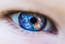 Unser Farbspektrum: Wahrnehmung von 20 Millionen Farben Farbspektrum: Wahrnehmung von 20 Millionen Farben