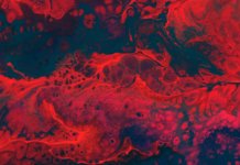 Kapillarnetz: Informationen zur Aufgabe & Funktion kapillarnetz