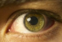 Wöhlk: Deutsche Kontaktlinsen-Herstellung wöhlk