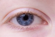 Augenlid: Anatomie, Funktion & Erkrankungen Augenlid