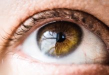 Hornhaut (Auge): Informationen über Aufbau & Funktion Hornhaut (Auge)