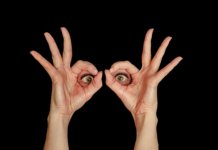 Sehnervenpapille: Der „Blinde Fleck“ Sehnervenpapille